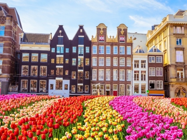 EXPRESS BENELUX & PARİS 2025 (AMS-ORY)