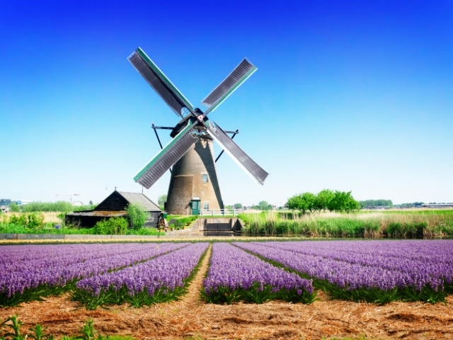 BENELUX & PARIS PC (CRL-CRL) 2025 