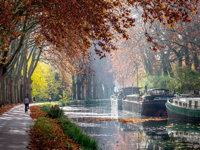 BASKLAR VE GÜNEY FRANSA 2026 PC ( BIO-MRS)