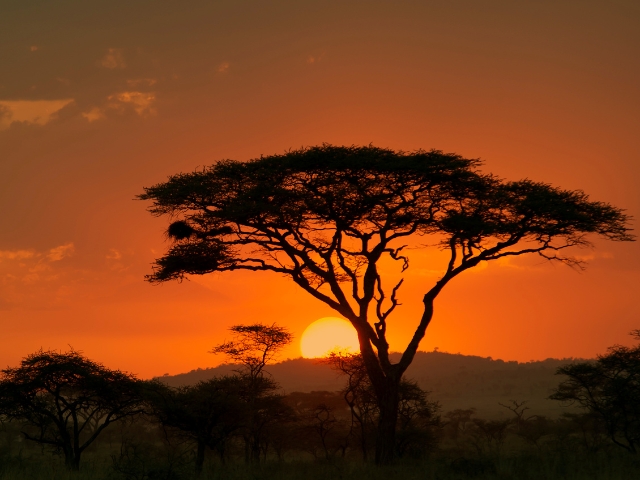 Görkemli Güney Afrika ve Safari Ramazan Bayramı Özel Türk Hava Yolları ile 7 Gece (CPT-JNB)