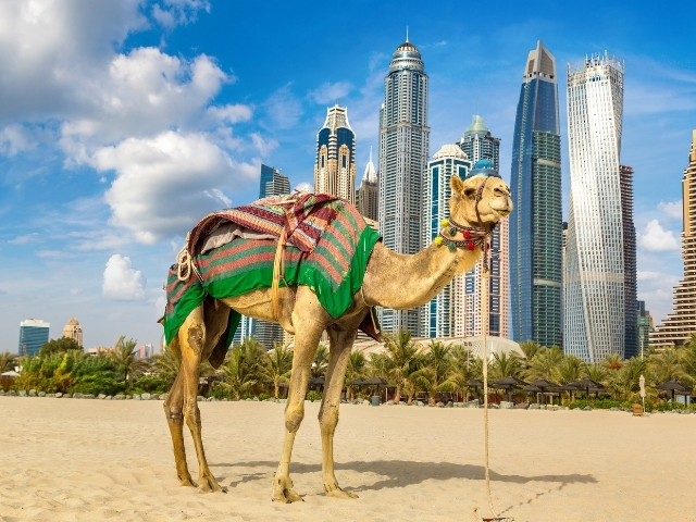 İZMİR'DEN DUBAİ TURU SunExpress Havayolları ile 4 gece