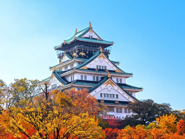 BÜYÜK JAPONYA 2025 (HND-HND)