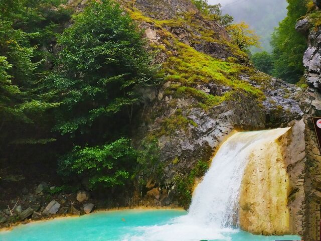 Karadeniz Yaylalar Ve Batum Turu 4 Gece Otel Konaklamalı İstanbul Çıkışlı