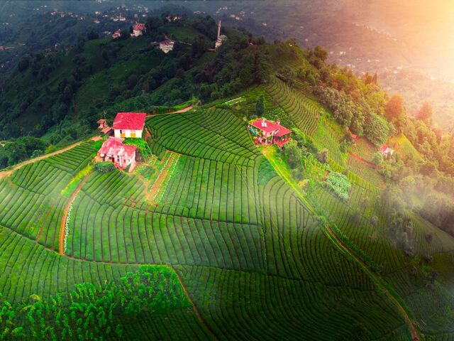 Karadeniz Yaylalar Ve Batum Turu 4 Gece Otel Konaklamalı İstanbul Çıkışlı