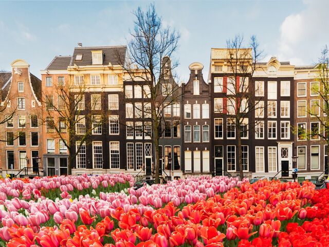 Görkemli Amsterdam: Renklerin Şehri Sömestr Özel Türk Hava Yolları ile 3 Gece