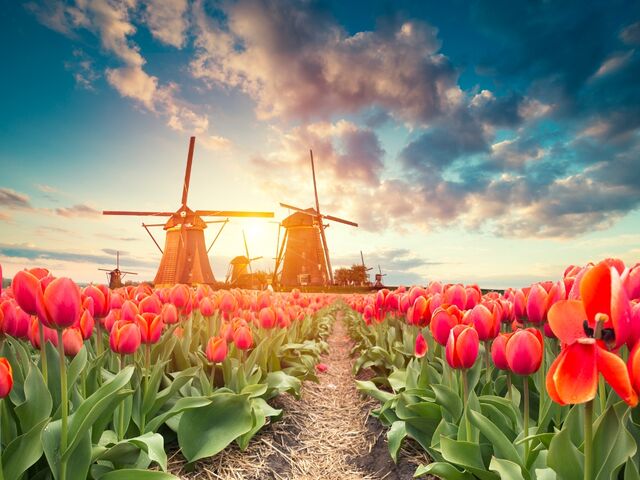 Amsterdam | 3 Gece | İstanbul Çıkış | THY